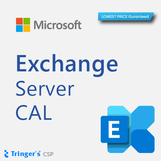 Exchange Standard CAL SLng SA OLV NL 1Y Aq Y1 AP User CAL