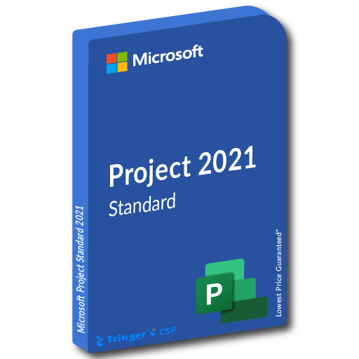 Project Standard 2021