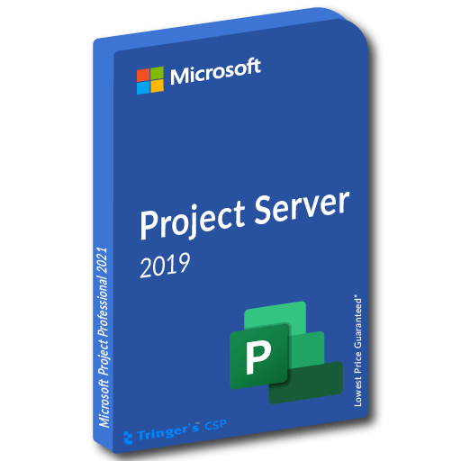 Project Server 2019