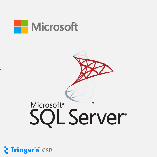 SQL Server Standard SLng SA OLV NL 1Y Aq Y1 AP