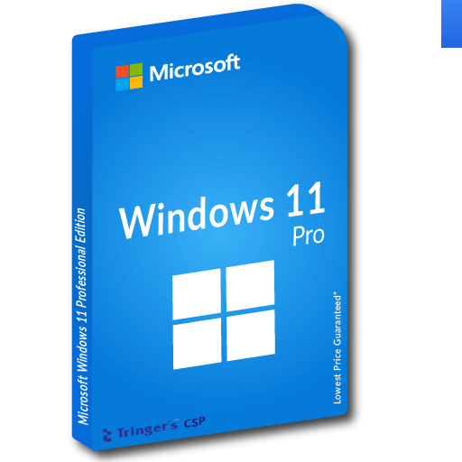 Windows 11 Pro N Upgrade